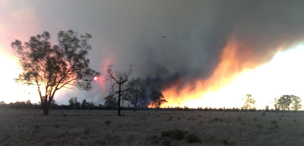 community work Lake Broadwater Bush fire